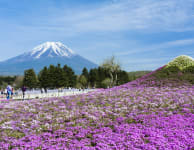 fuji five lakes